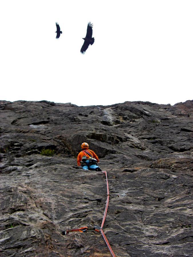 Casaandina Chalten El Chaltén Zewnętrze zdjęcie
